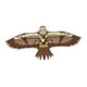 thumbnail image 5 of Cometa De águila Para Exteriores, Juego Portátil Grande, Divertido Para Parques, Actividades Al Aire Libre, Playa, Marrón, 5 of 5