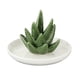 thumbnail image 2 of Bandeja De Soporte De Joyería De Aloe De Cerámica, Organizador De Pendientes, Decoración, Estilo De Regalo 2, 2 of 5