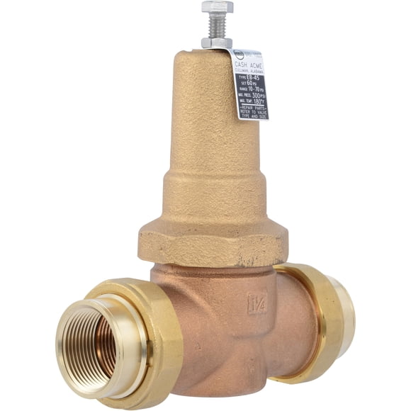 Válvula reguladora de presión Cash Acme EB45 1-1/4" NPTF