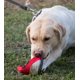 thumbnail image 4 of Frisbee impermeable para perro Pet Life 'Extreme Neoprene', 4 of 4