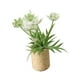 thumbnail image 3 of 1/12 Simulación De Adorno De Bonsái De Flores En Miniatura Para Decoración De Patio Blanco, 3 of 5