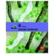 thumbnail image 1 of SOCIAL SCIENCE 6°, 1 of 2