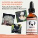 thumbnail image 3 of Suplemento de tintura MycoDog Lions Mane para perros, 3 of 6
