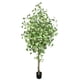 thumbnail image 1 of Planta Decorativa Arbol De Ginko 240cm, 1 of 3