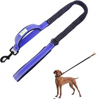 Defensor Forever - Correa Elástica Para Perros. Azul