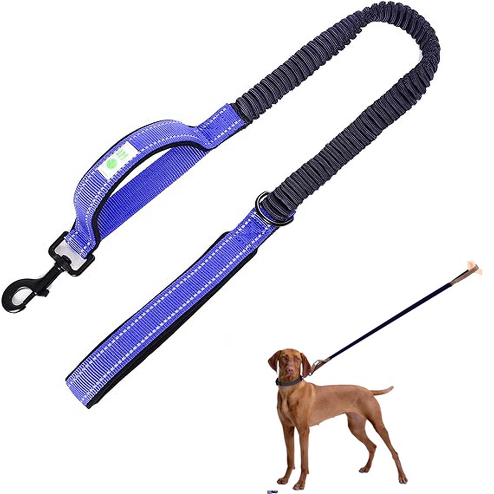Correa Elástica Para Perros. Azul