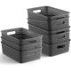 thumbnail image 1 of Canasto Organizador NETANY de 2,5 Litros, 1 of 3
