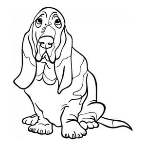 Rienda Libre Graphics - Decomural Basset Hound Pet Dog Ws-34667