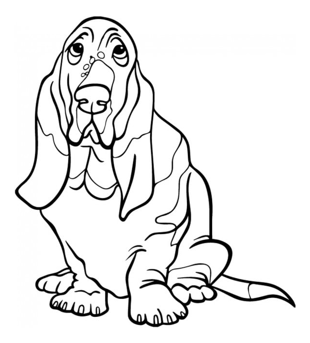 Rienda Libre Graphics - Decomural Basset Hound Pet Dog Ws-34667