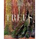 thumbnail image 1 of Libro Earth Aware Editions Trees: Entre la Tierra y el Cielo, 1 of 1