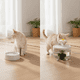 thumbnail image 3 of Bebedero Eléctrico Gato Perro Transparente Mascotas 220v, 3 of 10