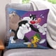 thumbnail image 1 of Silvestre y Piolín Fundas de almohada de terciopelo con tema, regalos de funda de almohada, decoración para el hogar, cojín de lanzar, regalo de cumpleaños para fans y parejas. 45cm x 45cm., 1 of 6