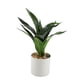 thumbnail image 2 of Planta Artificial Decorativa, 2 of 2