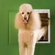 thumbnail image 2 of Puerta de perro Mediana para Climas Extremos PetSafe, 2 of 5