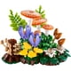 thumbnail image 3 of 11505 Hongos Del Bosque, 3 of 3