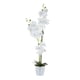 thumbnail image 1 of Planta Decorativa Artificial Orquidea Maceta Cono, 1 of 4
