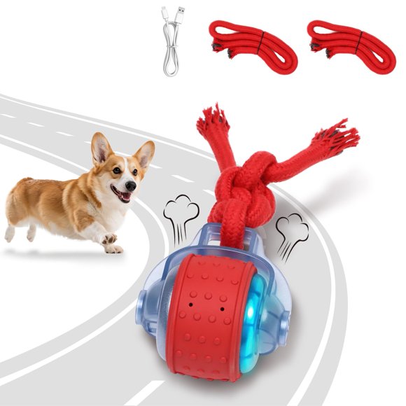 Juguete para perro BENTOPAL de 7,5 cm activado por movimiento con cuerda