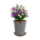 thumbnail image 3 of Set Maceta Zaia 20 cm Gris Matte con plato, 3 of 3
