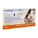 thumbnail image 1 of Pipeta REVOLUTION PLUS 2,5 a 5 kg - Antiparasitario Int/Ext, 1 of 3