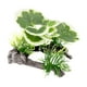 thumbnail image 1 of Decoraciones De Plantas De árboles De Acuario, Decoraciones De Plantas Pequeñas Para Decoración De Peceras, Estilo D, 1 of 5