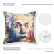 thumbnail image 5 of Einstein Fundas de almohada de terciopelo con tema, regalos de funda de almohada, decoración para el hogar, cojín de lanzar, regalo de cumpleaños para fans y parejas. 45cm x 45cm., 5 of 6