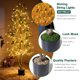 thumbnail image 3 of Árbol de Olivo Artificial NOVAROOT 183 cm con Maceta y Luces, 3 of 9