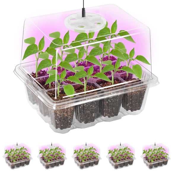 Bandeja Seed Starter Bonviee con Grow Light, 5 paquetes y accesorios