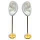 thumbnail image 3 of 2 Soportes Duraderos Para Exhibición De Pendientes, Modelo De Oreja Humana, Soporte Para Perno, Silicona Suave, 3 of 5