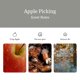 thumbnail image 4 of Ambientador para coche Drift 3-pack Aroma Manzana de Huerto, 4 of 7