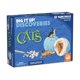 thumbnail image 2 of Educational Discovery Dig MindWare Dig It Up Cats, paquete de 12, 2 of 7