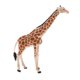 thumbnail image 1 of Simulación Animal Modelo Juguetes Educativos Para Ni?os Giraffe PL127-413, 1 of 5