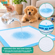 thumbnail image 4 of 100 Pañales Sabanillas Absorbentes Para Mascotas 60x45cm S Desechable, 4 of 7