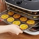 thumbnail image 3 of Deshidratador de Alimentos - IRD5, 3 of 5