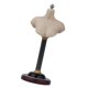 thumbnail image 4 of Base De Busto De Medio Cuerpo A Escala 1/6, Accesorios Para Fotografía De Exposiciones, Colección De 16 Cm, 4 of 5