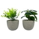 thumbnail image 1 of Planta base cemento, 1 of 8
