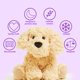thumbnail image 2 of Push Animal Warmies Golden Dog, apta para microondas, con aroma a lavanda, 2 of 8