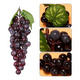 thumbnail image 1 of Uvas artificiales 60 uds fruta sintética púrpura, 1 of 3