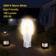thumbnail image 4 of Bombilla QYKAVM 12V 11W T5 (paquete de 12), 4 of 7