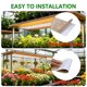 thumbnail image 5 of Kit de luces LED de cultivo FOSUO 3 unidades 60W espectro completo 50x12 cm, 5 of 9