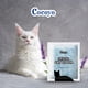 thumbnail image 3 of Gel de sílice Crystal Cat Litter COCOYO con aroma a lavanda, 7,8 kg, 3 of 6