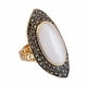 thumbnail image 2 of Anillo Acero Nefertiti Dorado 18 mm, 2 of 3