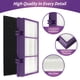 thumbnail image 5 of Filtros de repuesto Gazeer True HEPA para Holmes Aer1 HAPF300AP-U4, 5 of 6