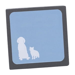 Bothyi - Esponja Para Quitar El Pelo De Mascotas, Multiusos, Para Sofás, Ropa De Cama Y Muebles