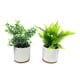 thumbnail image 4 of Planta articial ficus variegado, producto surtido 1 un, 4 of 6