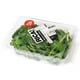 thumbnail image 1 of Albahaca Baby Pote, 60 gr, 1 of 2