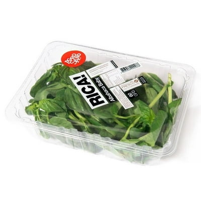 Albahaca Baby Pote 60 Gr