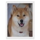 thumbnail image 1 of Shiba Inu Kits de Pintura de Diamantes para Adultos, 1 of 6