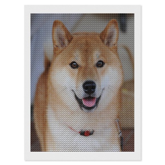 Shiba Inu Kits de Pintura de Diamantes para Adultos