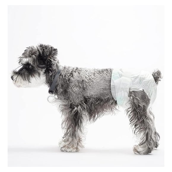 Pañales Desechables Para Mascota Perras Hembras Talla M/l/xl blanco L: Circunferencia máxima de cintura 52cm
