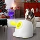 thumbnail image 1 of Lanzador de bolas automático ALL FOR PAWS Original para perros pequeños y medianos, 1 of 9
